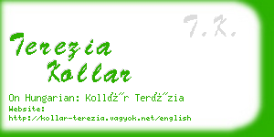 terezia kollar business card